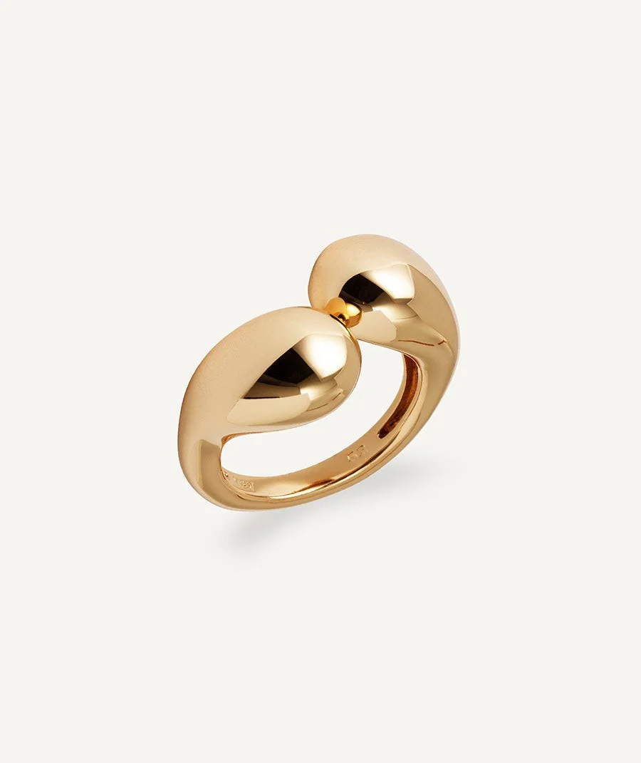 Anillos
